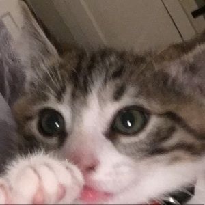 Meet your Posher, Adi